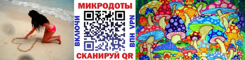 Купить где  Грязовец  Галлюциногенные грибы MAGIC MUSHROOMS 